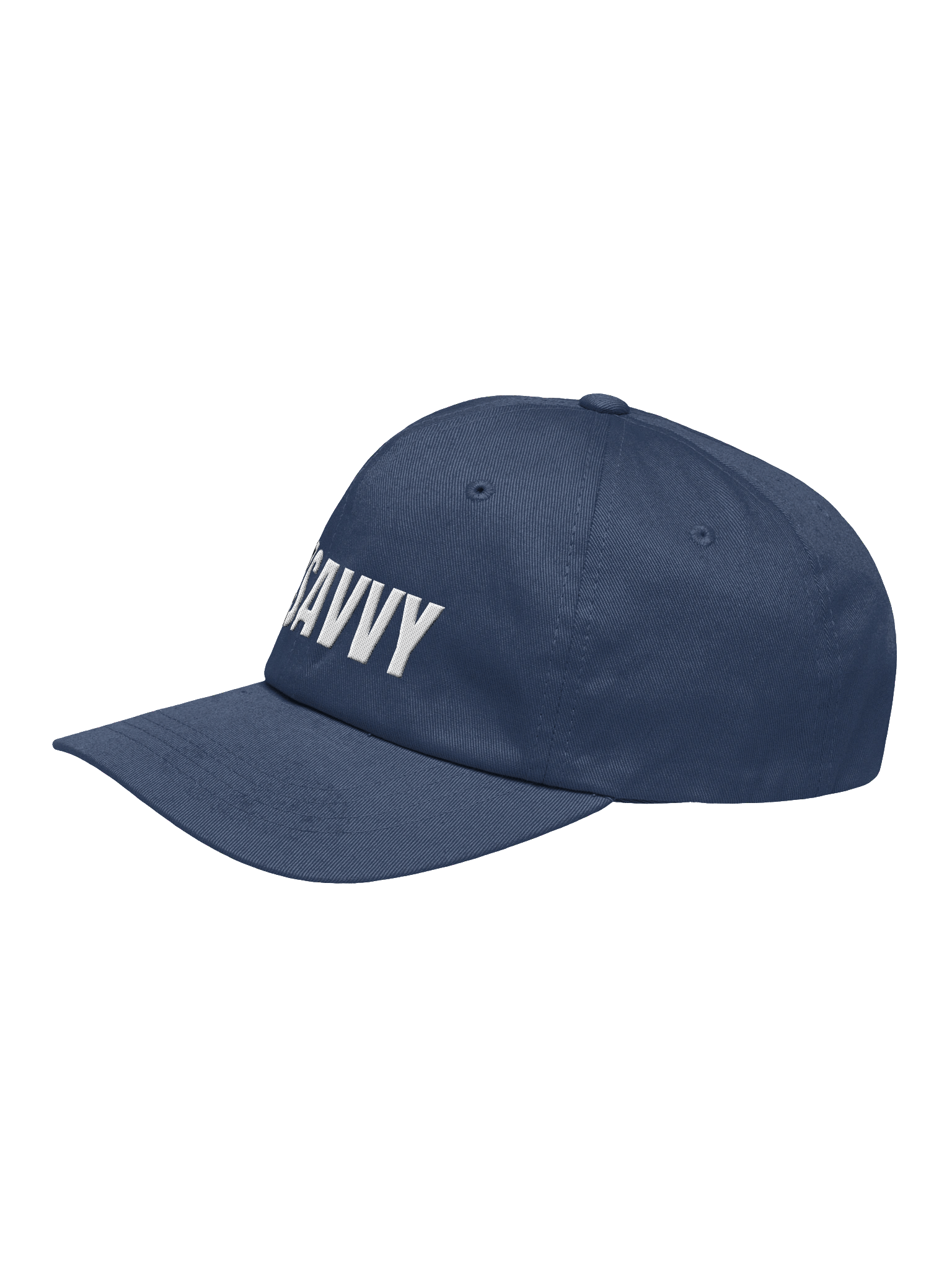 Met Savvy Dad Hat product image (10)