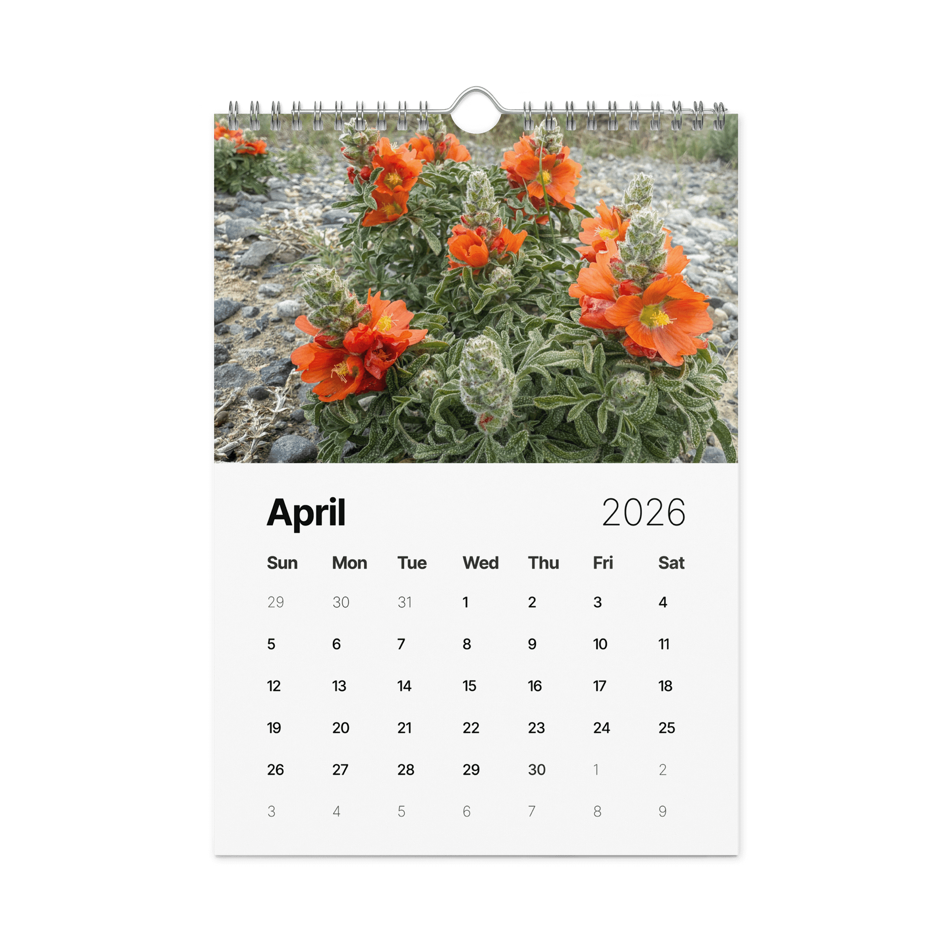 2026 Wildflower Photo Calendar product image (5)