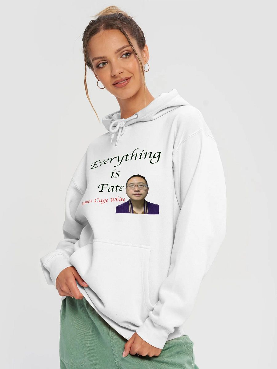 Lane Seven Premium Pullover Hoodie：fate product image (19)