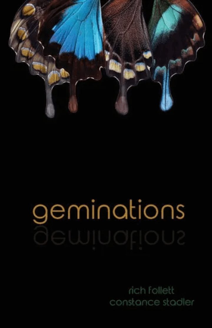 geminations product image (1)