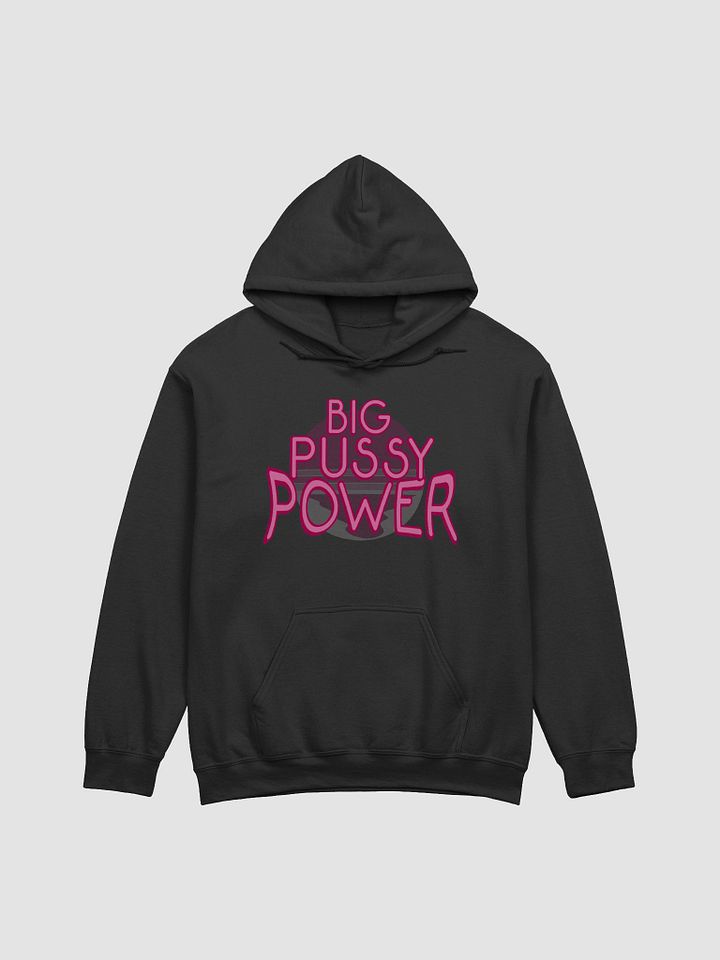 BPP Hoodie product image (1)