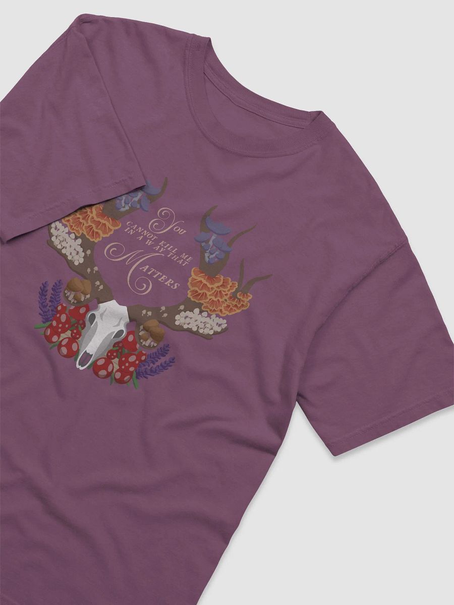 Decay Exists T Shirt product image (19)