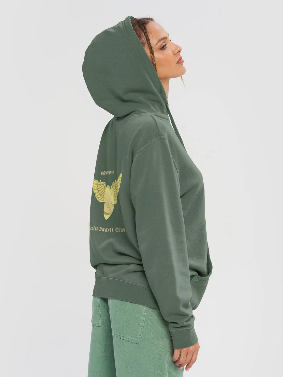 Washed Out by Sunlight Pigment Hoodie product image (73)