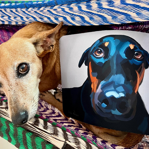 Orejas showcasing a mousepad with a portrait of chica.  Available on Chica’s shop.

#chicathedoberman #mousepad #dogportrait ...