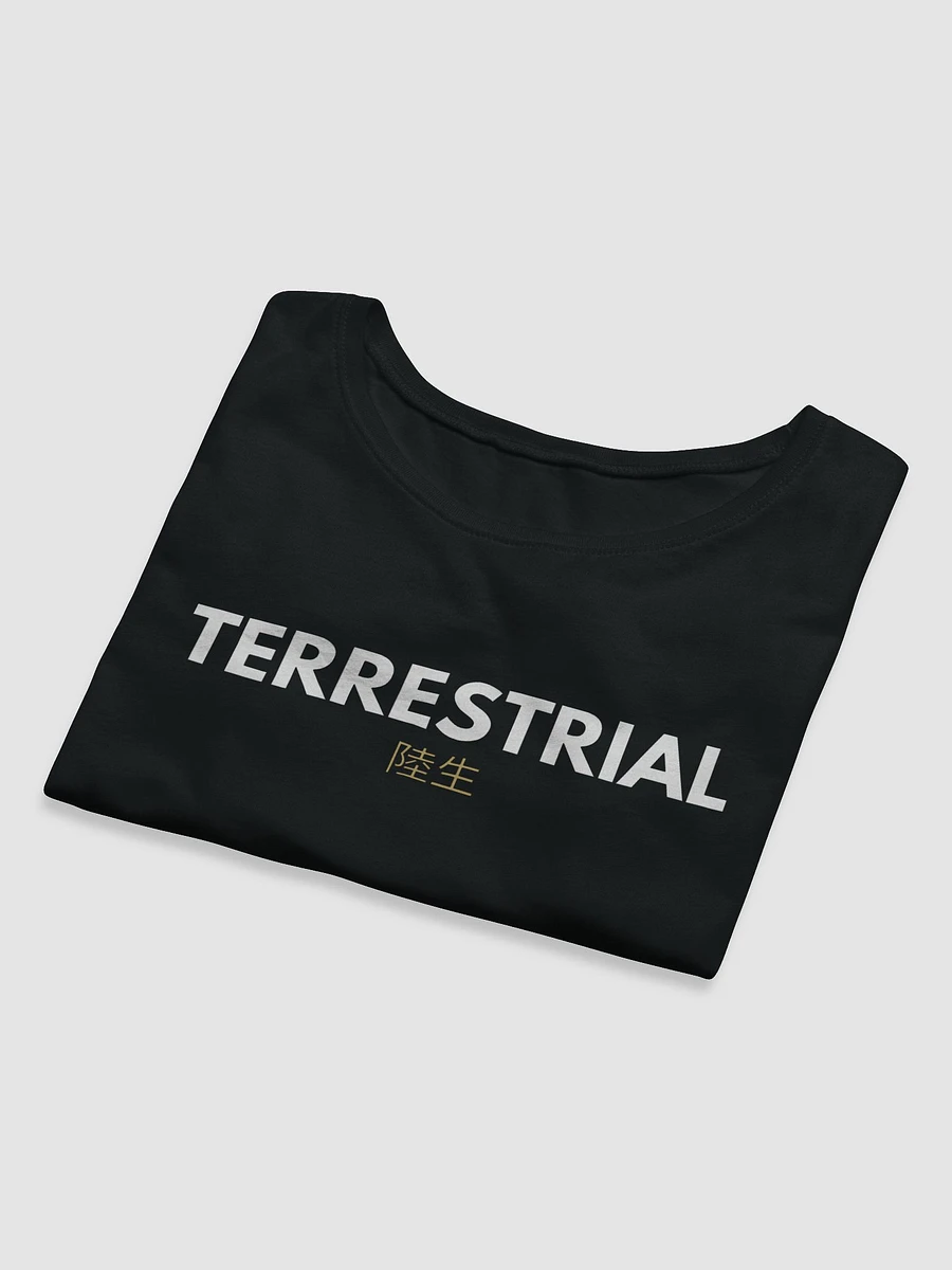 Terrestrial Logo Crop Tee product image (5)
