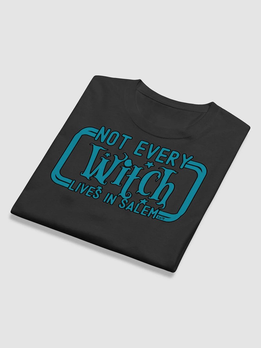 NOT EVERY WITCH LIVES IN SALEM product image (12)