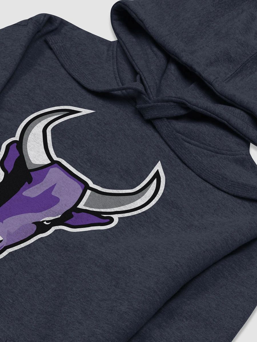 Subscribed Hoodie product image (3)