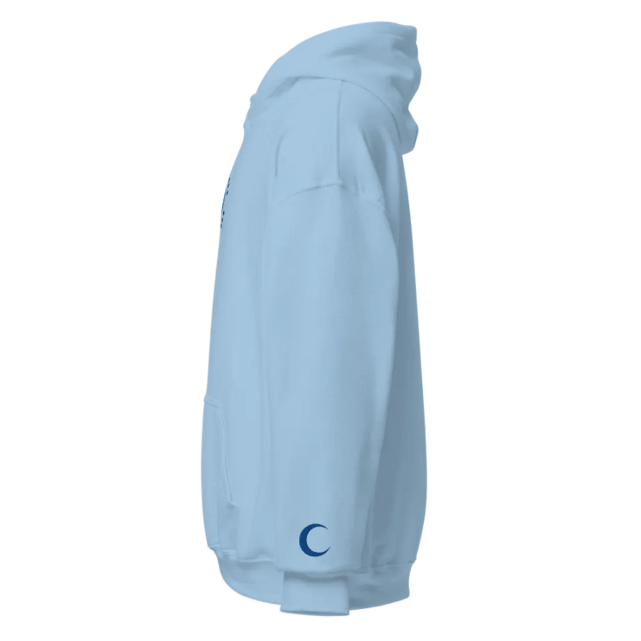 Embroidered "Malfunction" Hoodie product image (5)