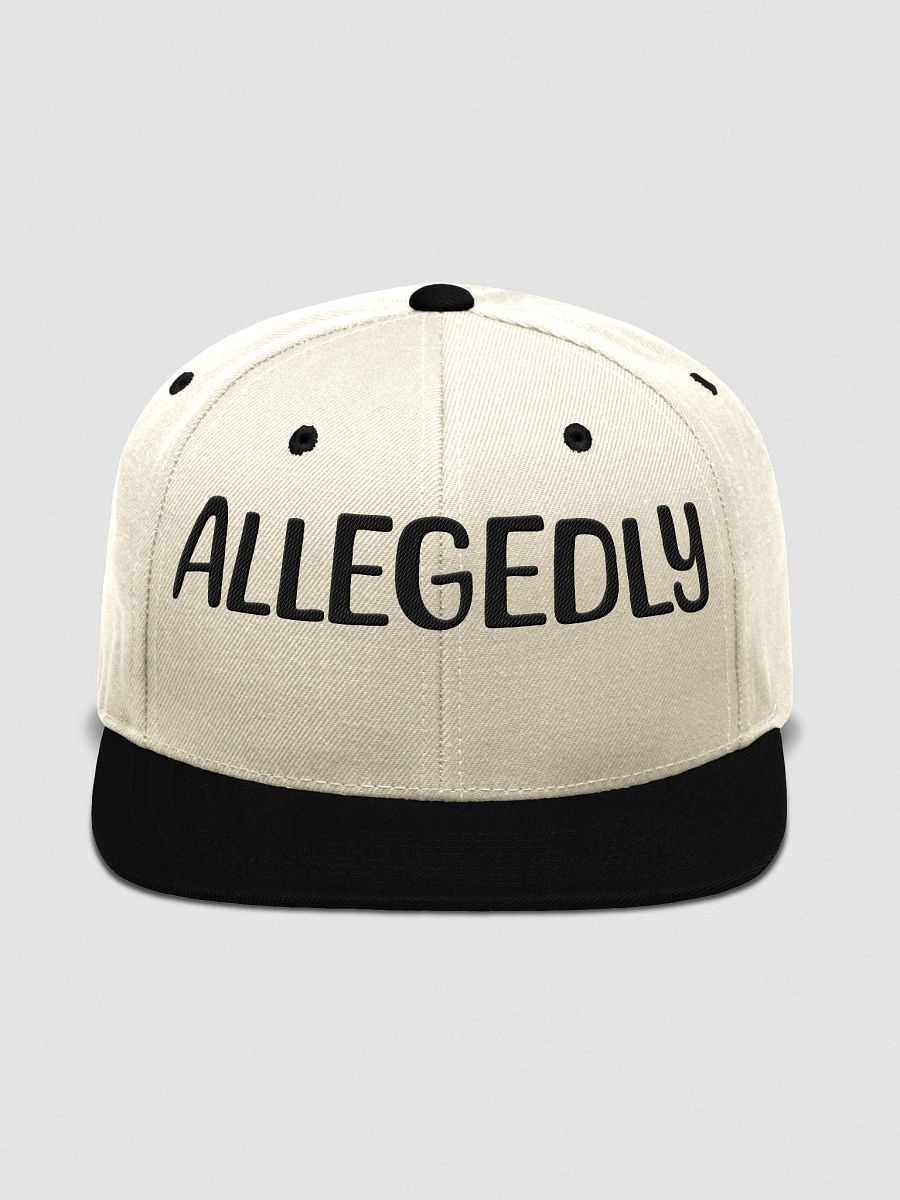 ALLEGEDLY POLTICAL EMBROIDERY Cap product image (15)