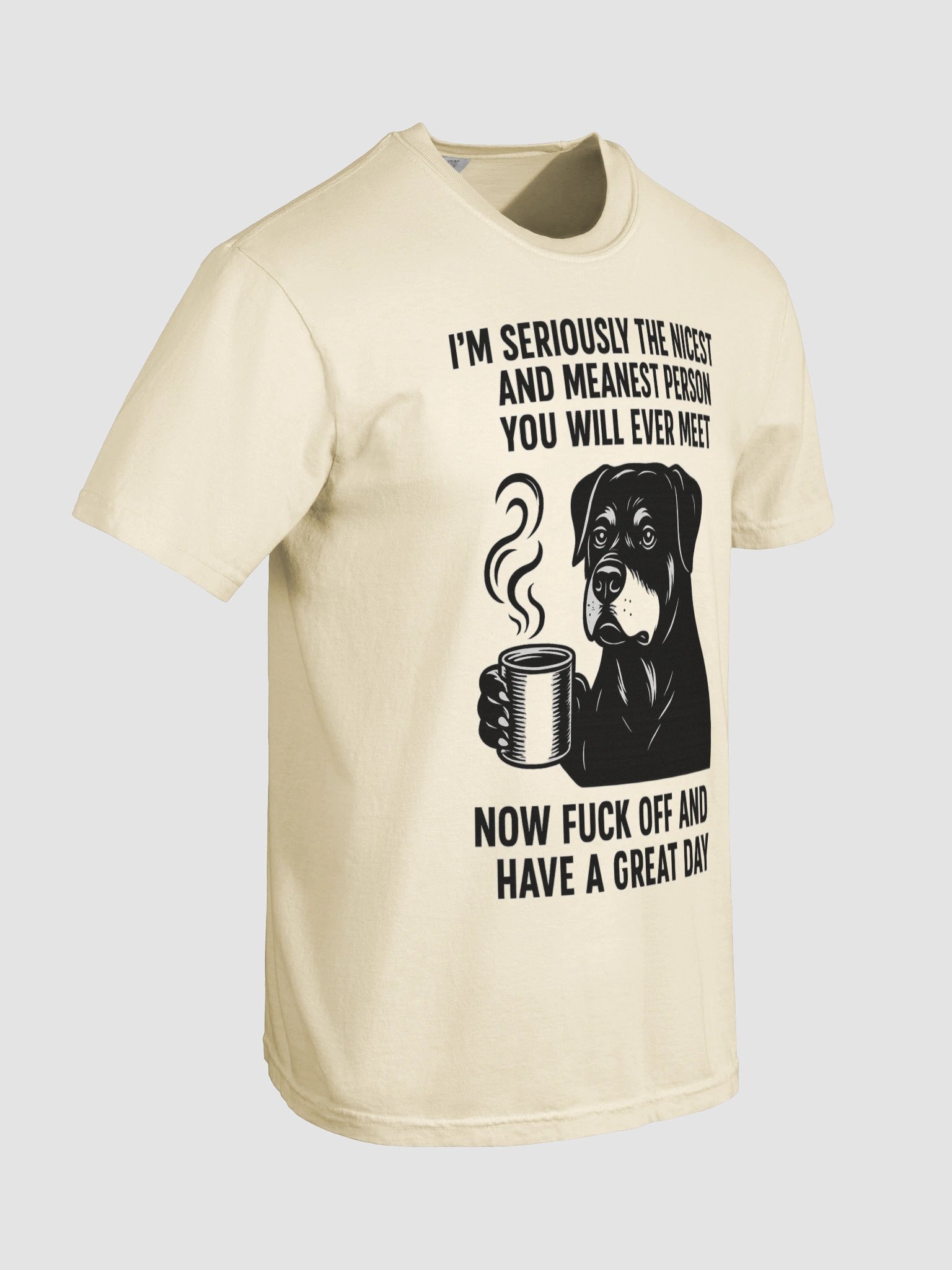 I'M SERIOUSLY THE NICEST AND MEANEST PERSON YOU WILL EVER MEET. NOW FUCK OFF AND HAVE A GREAT DAY Graphic Tee product image (16)