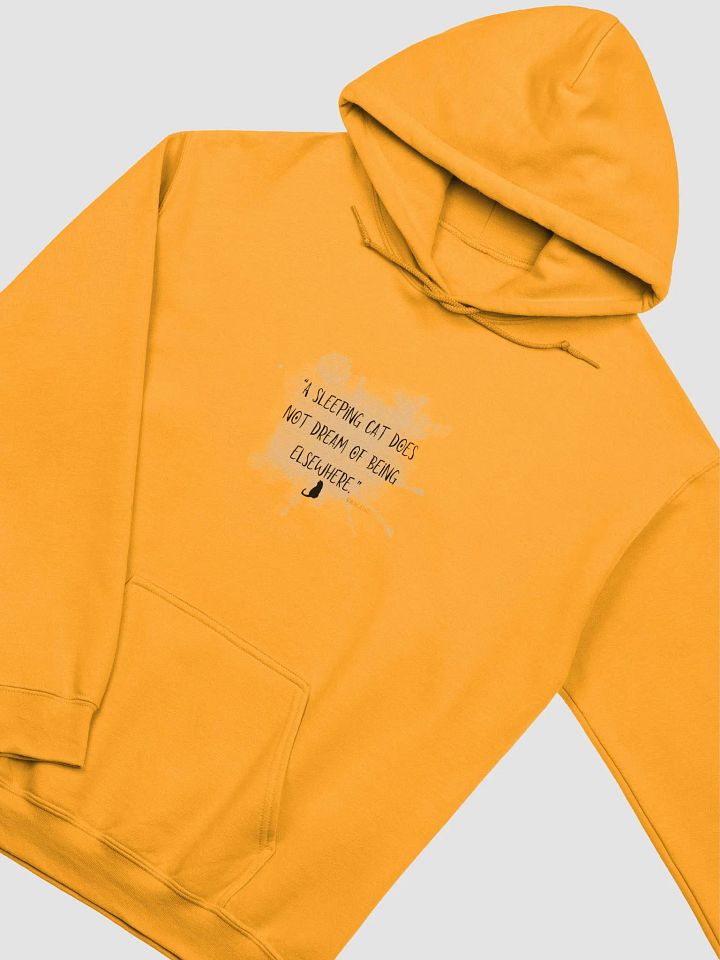 Vaikauri Cat Wisdom Hoodie product image (19)