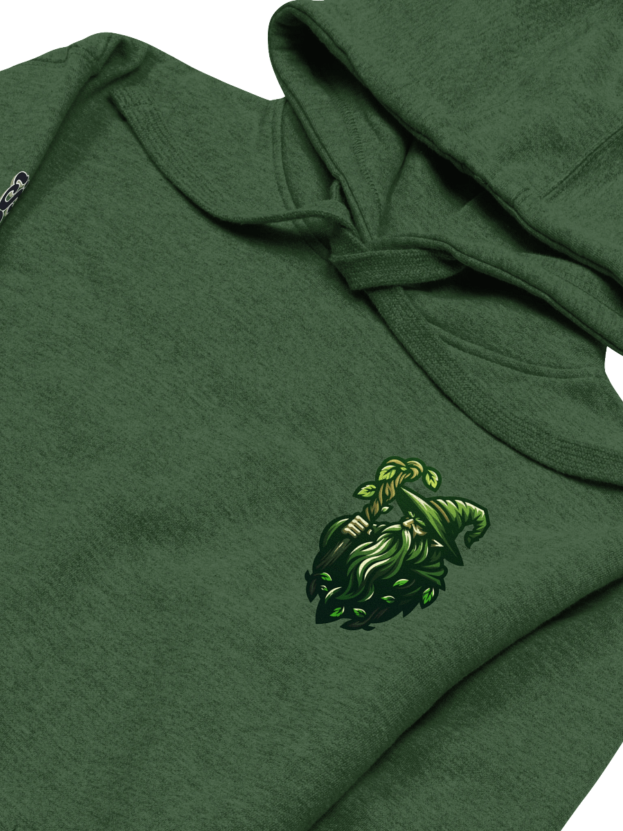 The Sage Hoodie product image (3)