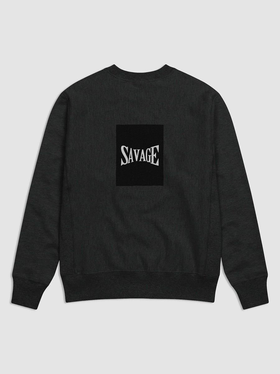 Distortion Champion Sweatshirt product image (2)