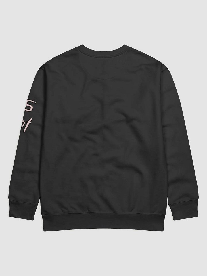 Annoying Cotton Sweatshirt product image (2)