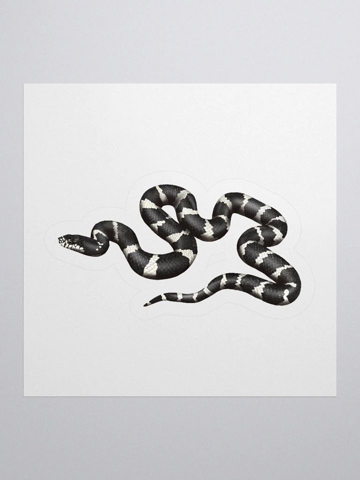 Die-Cut Sticker – California Kingsnake product image (1)