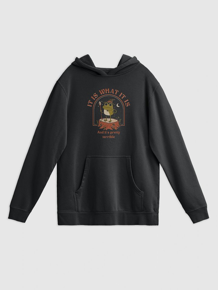 It Is What It Is - Hoodie product image (1)
