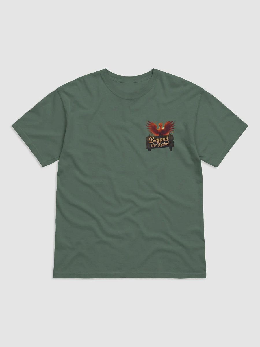 Phoenix Embrace Comfort Tee product image (3)