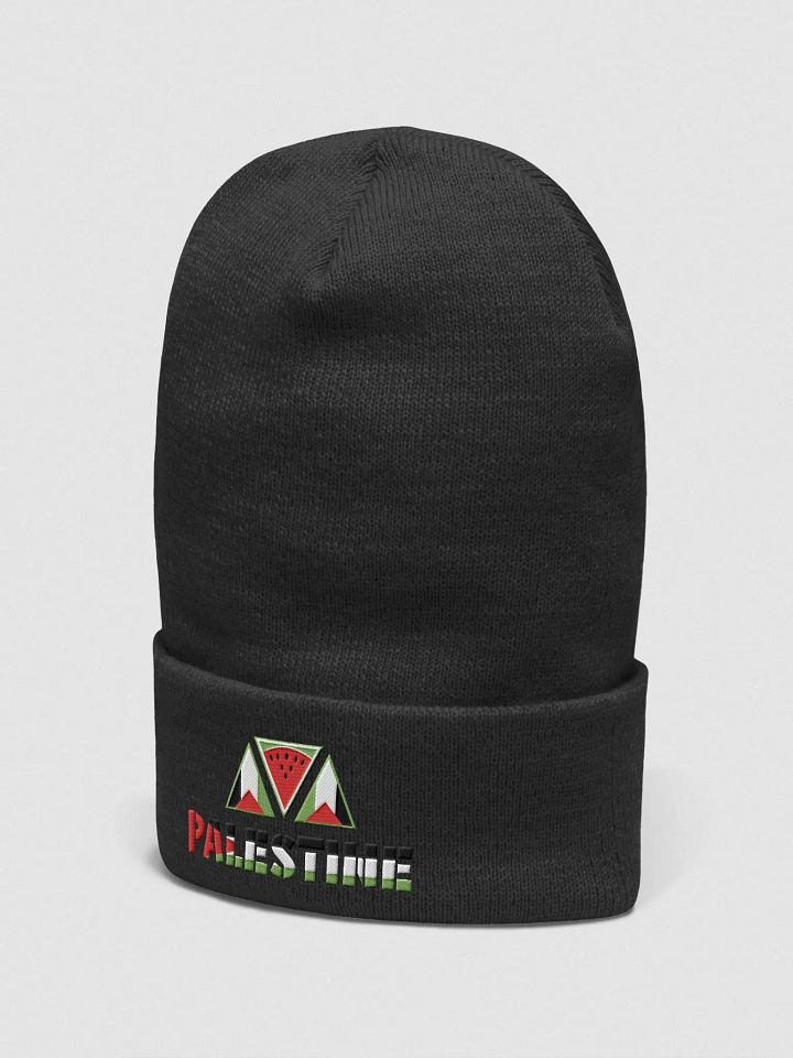 beanie product image (2)