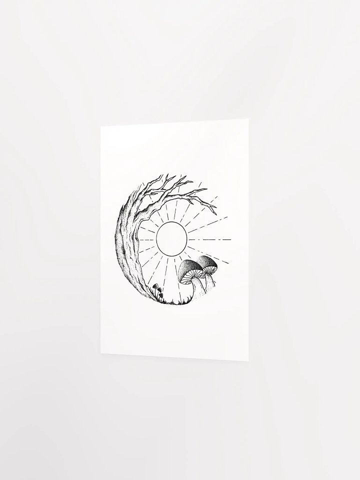 Sunny Mushrooms product image (2)