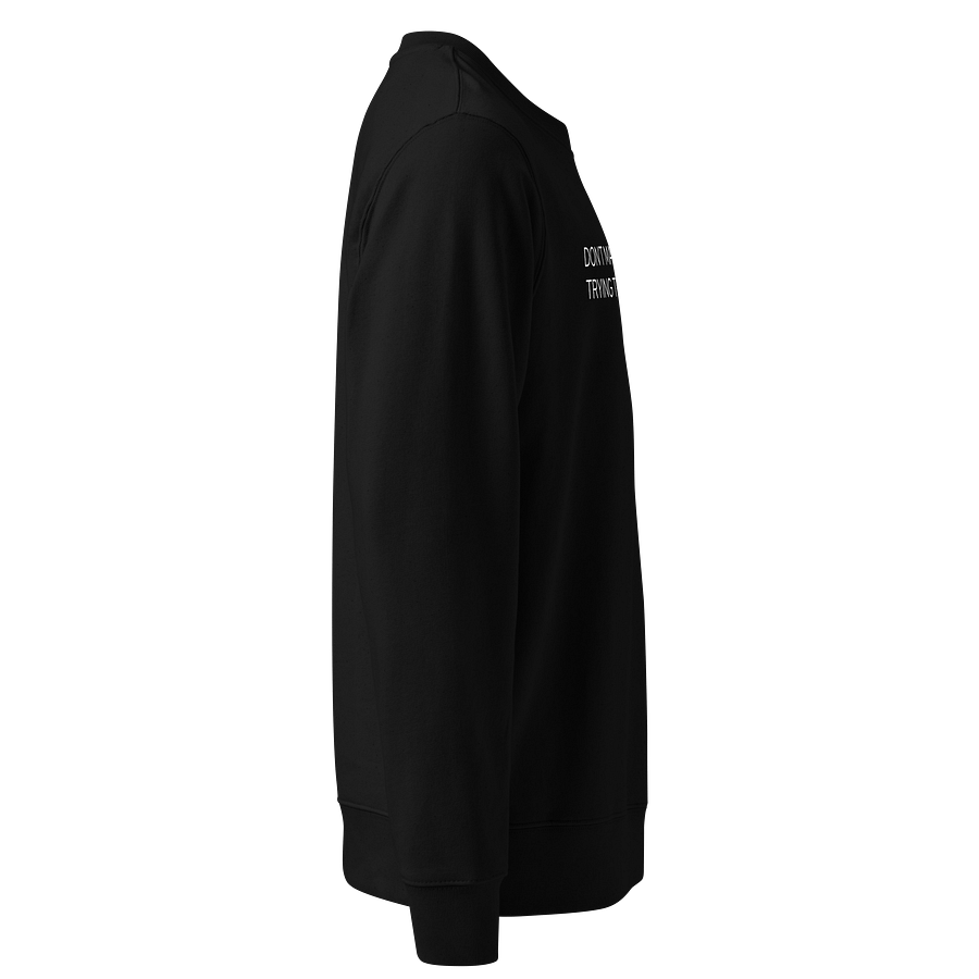 Don’t Make Me Regret - Sweatshirt - Slim Cut - Dark product image (4)