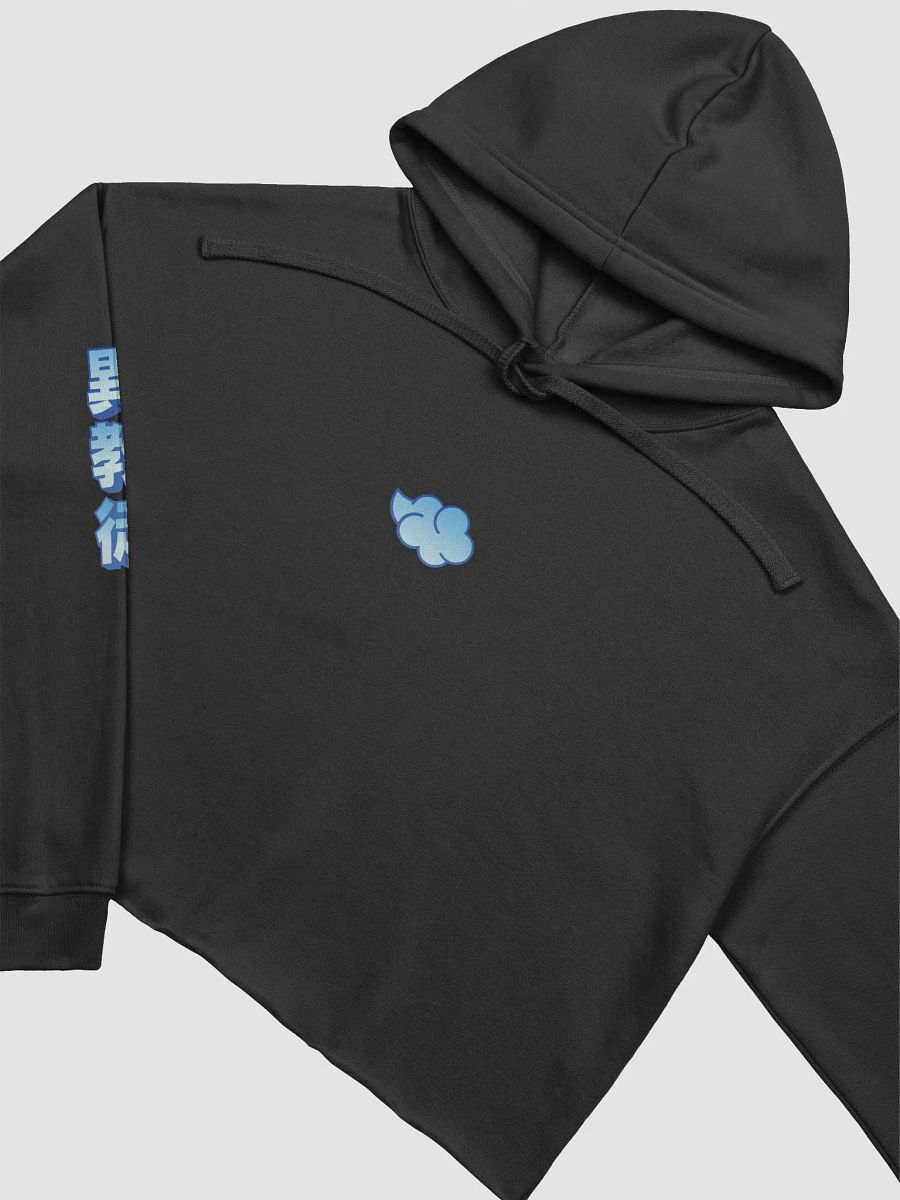Nihon Heathens Crop Top Hoodie - Blue product image (3)