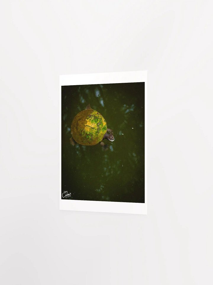 The Turtle Pond - Print product image (2)