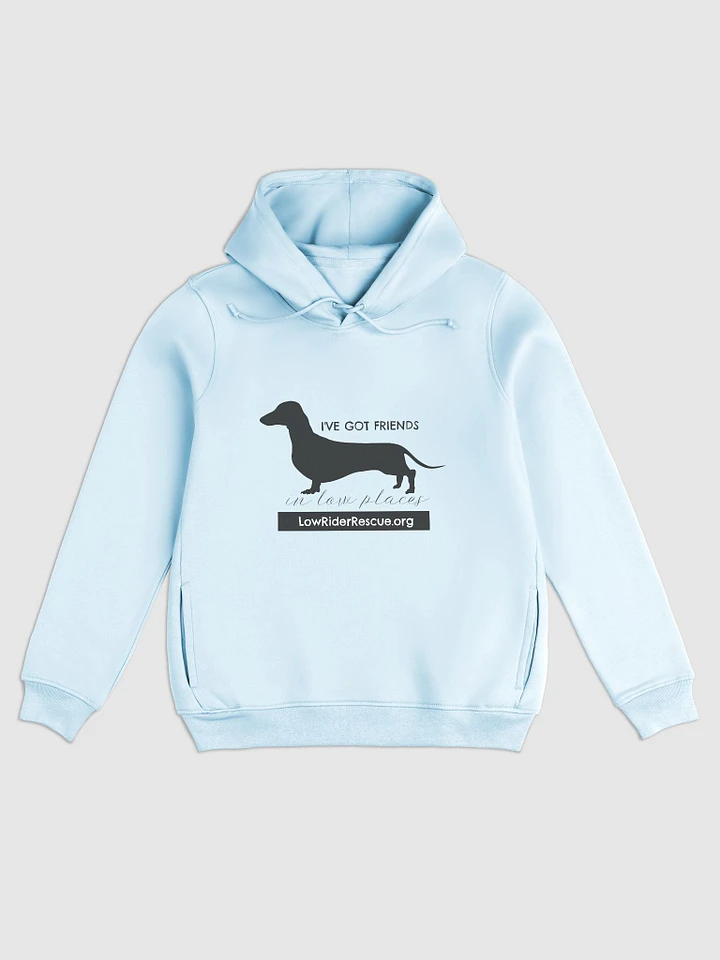 Low Rider Rescue - Friends in Low Places - Women's Hoodie product image (3)
