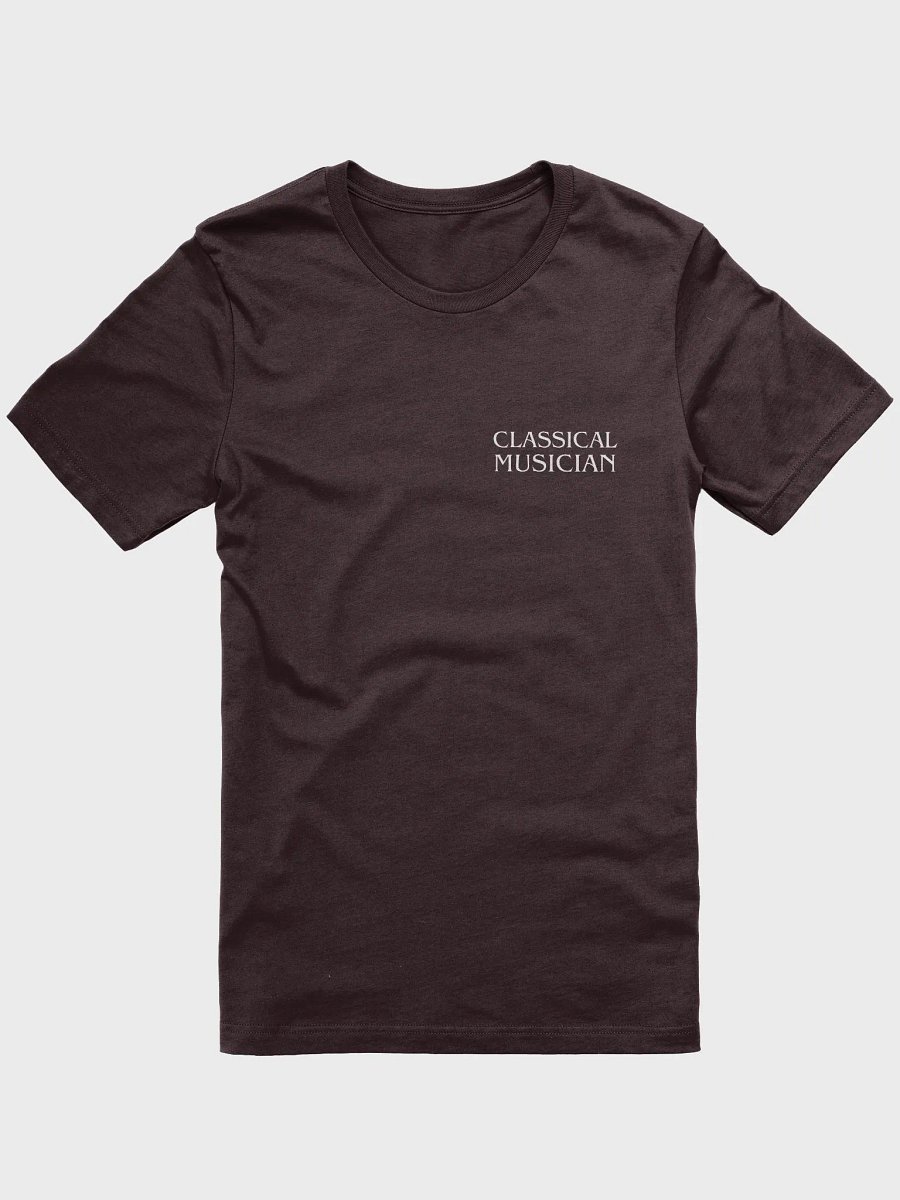 Franz Liszt - Rockstar | T-Shirt (Backprint) product image (1)
