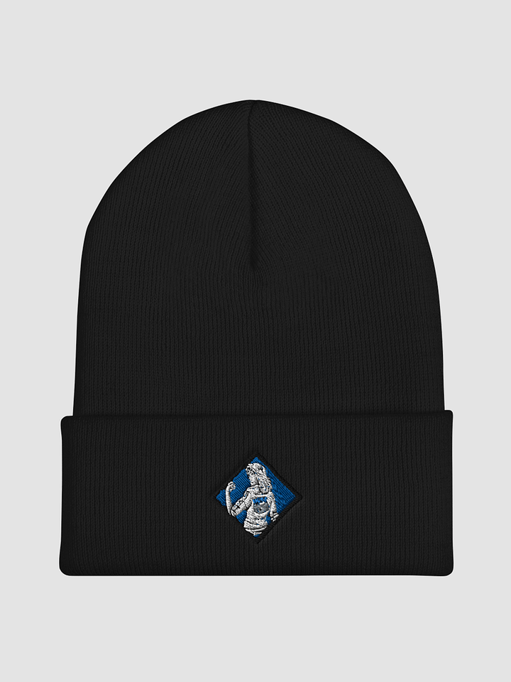 Any Beanie Necessary product image (1)