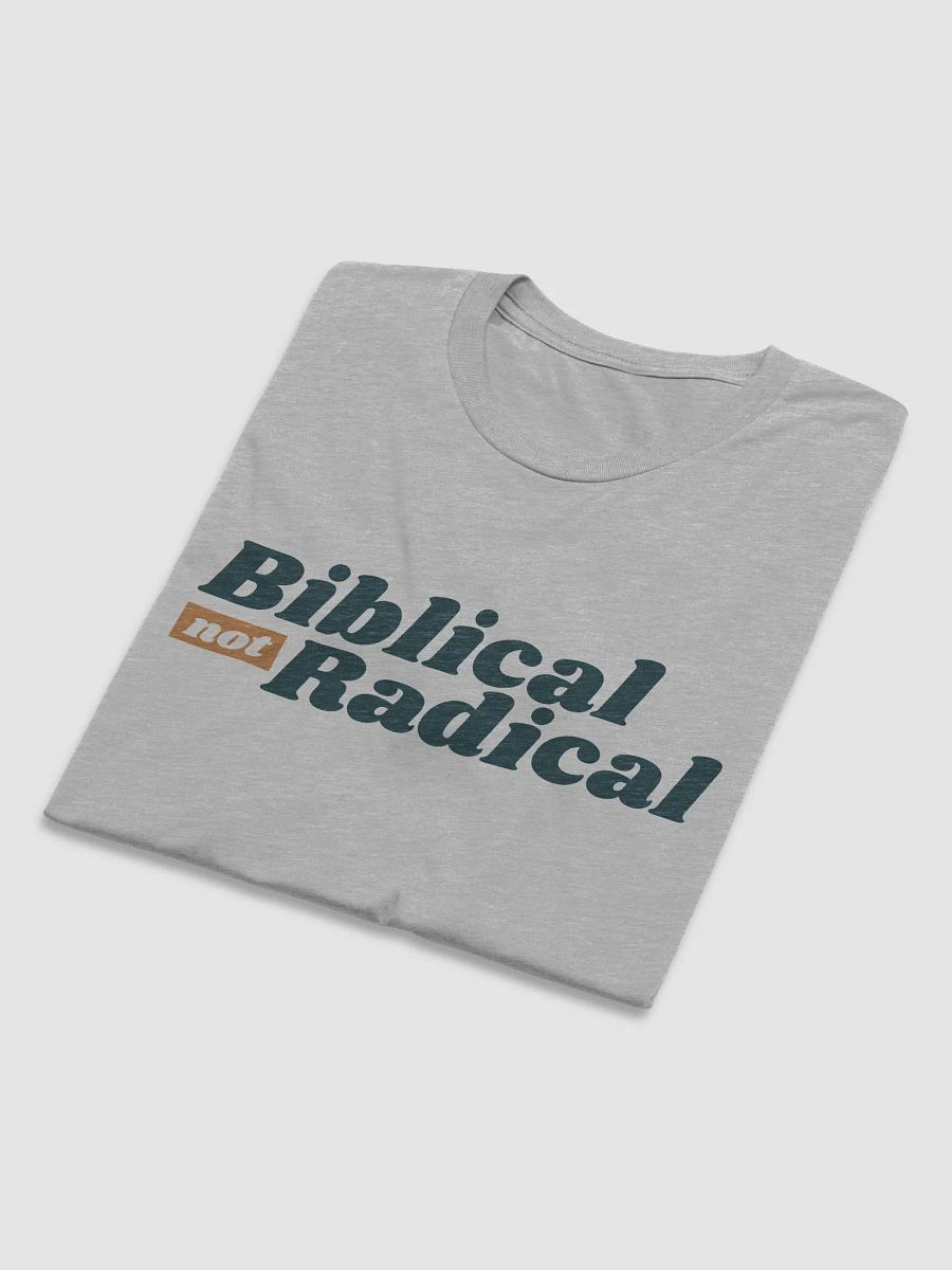 Men's T-Shirt: Biblical Not Radical (more colors available) product image (3)