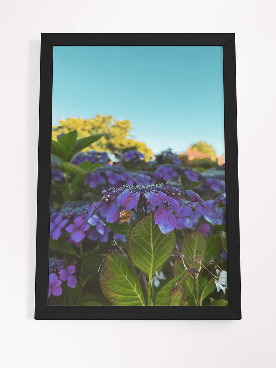 Vibrant Serenity product image (4)