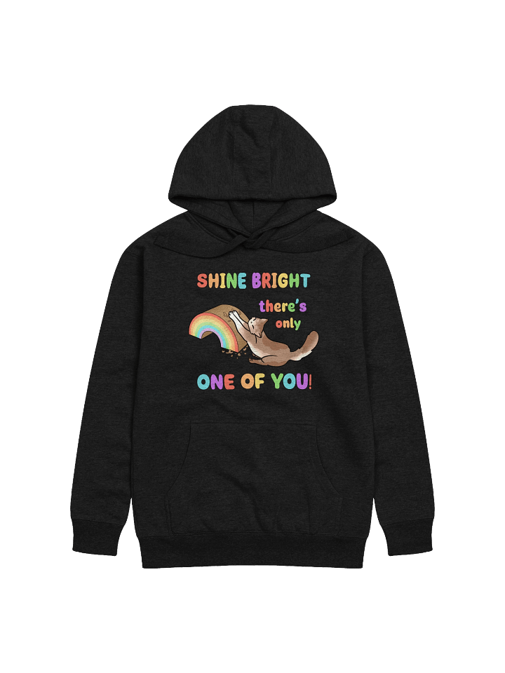 Shine Bright Pride Hoodie product image (3)
