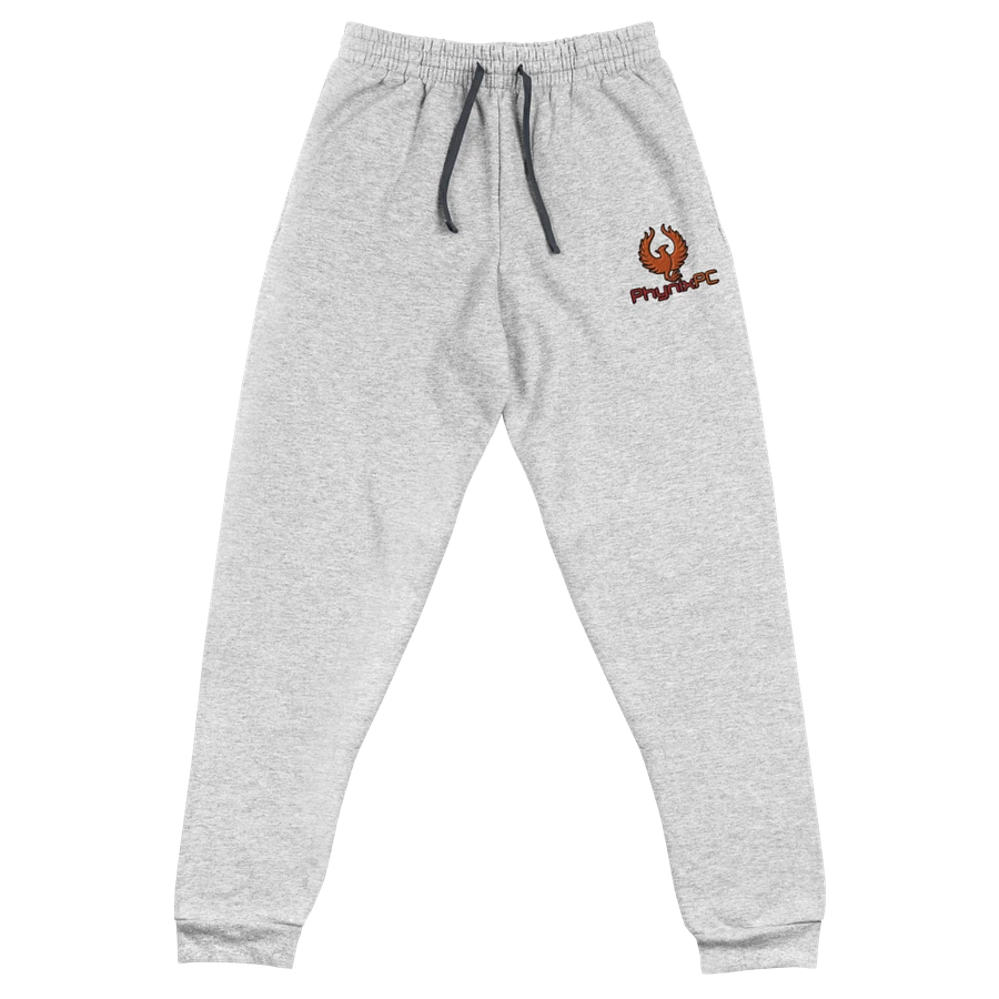 PhynixPC Embroidered Joggers product image (1)