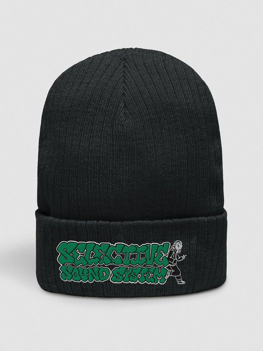 Selective sound system beanie product image (16)