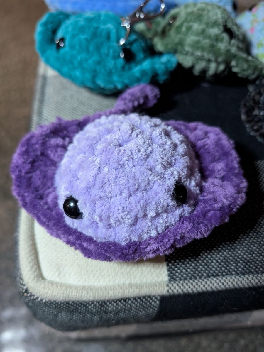 Stingrays product image (3)