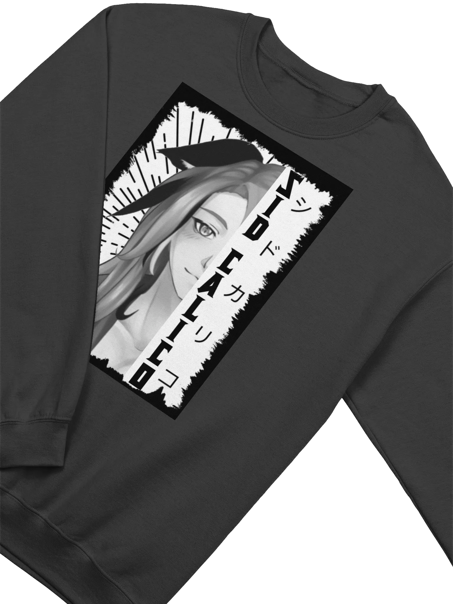 Sweatshirt product image (2)