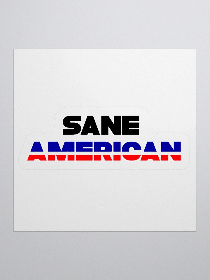Sane American - Sticker product image (1)