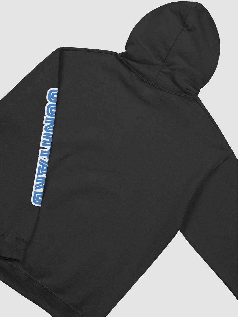 Logo Hoodie - The DC Junkyard x From Ashes to Fire product image (4)