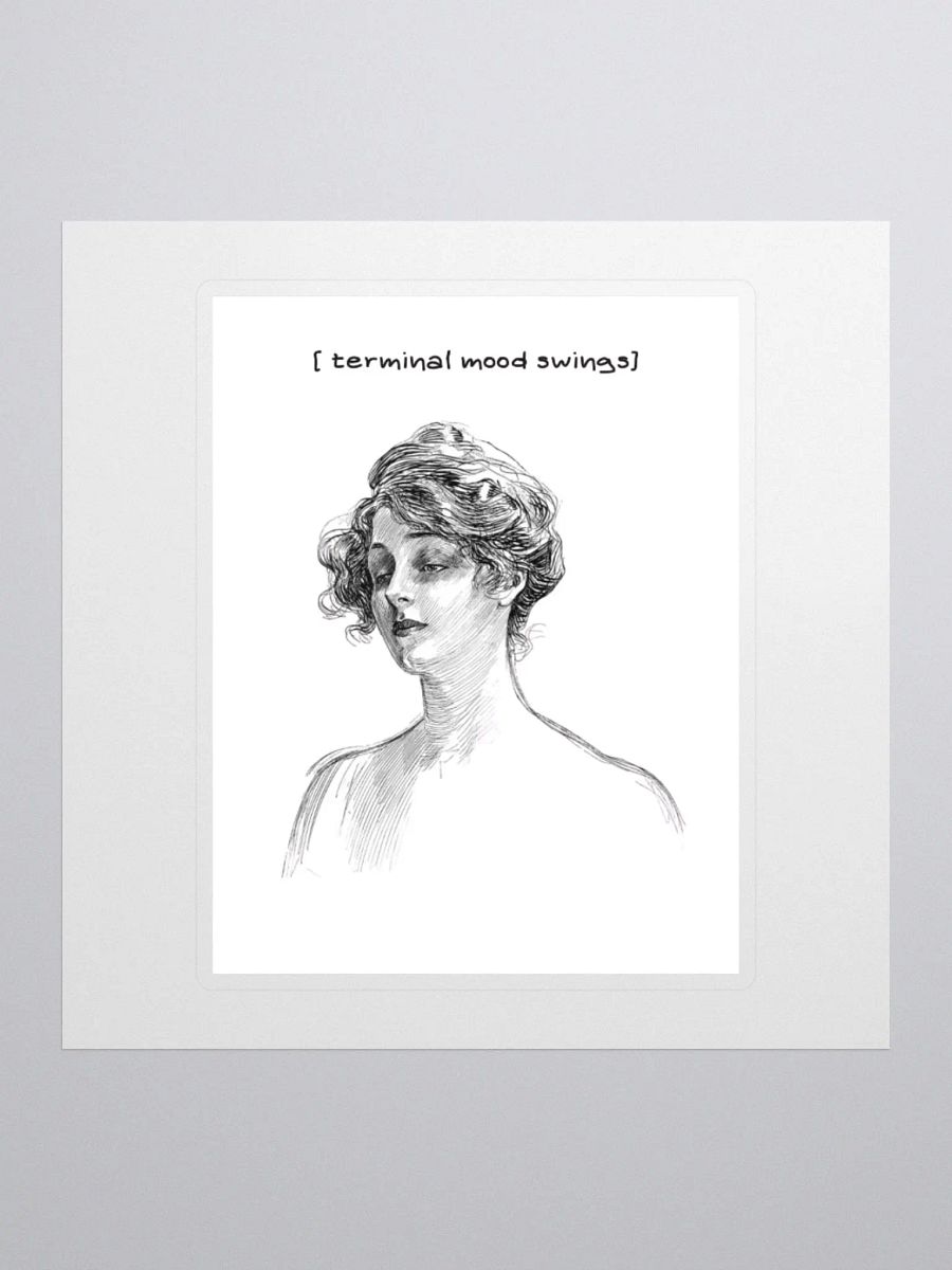 Terminal mood swings product image (3)