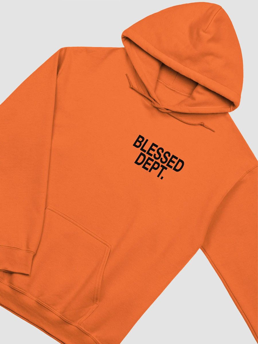 Blessed Dept. Black Font Hoodie product image (3)
