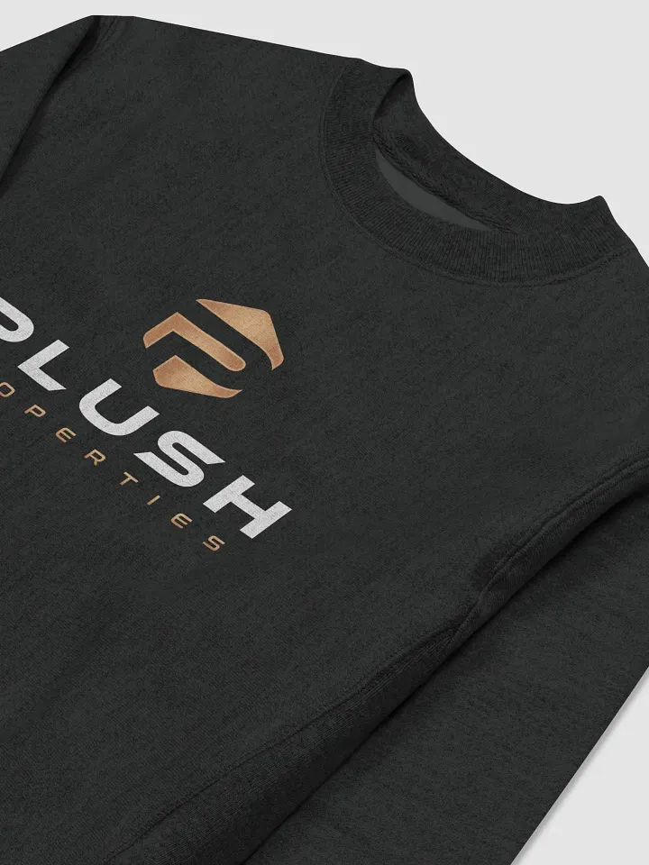 Plush Cotton Max Sweatshirt by Champion product image (2)