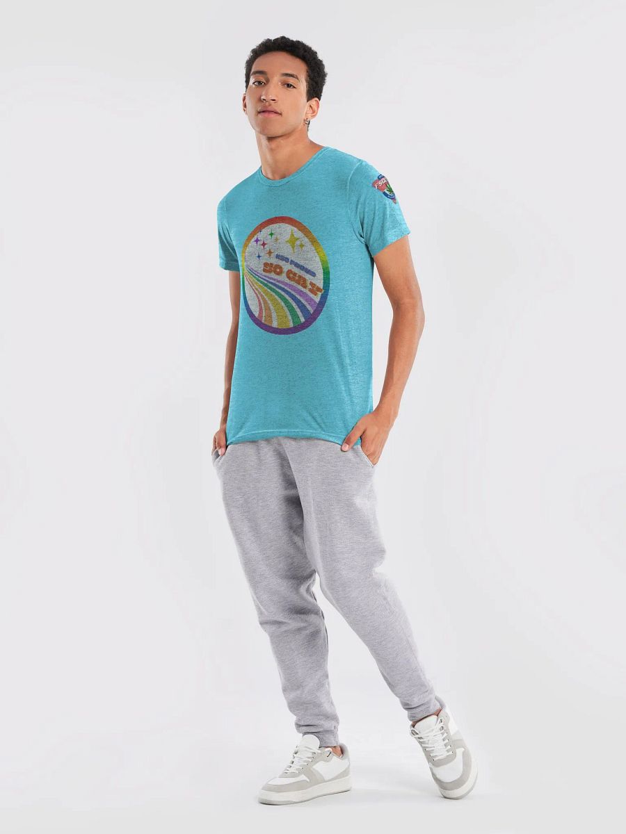 so proud so gay product image (81)