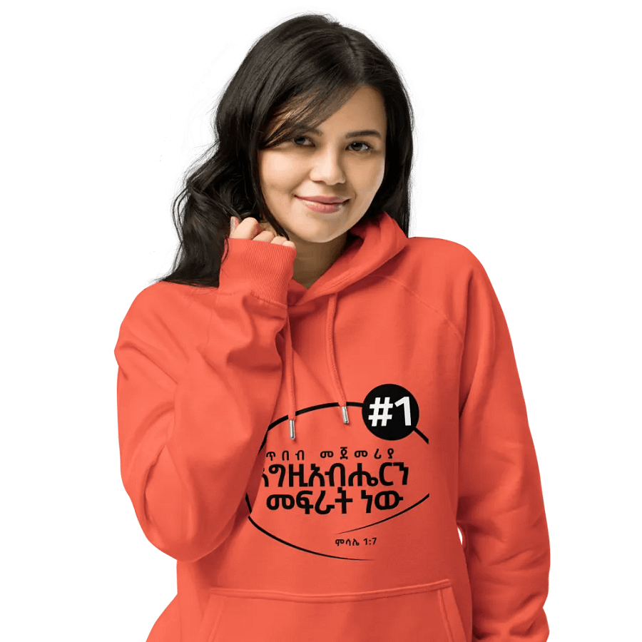 'Proverbs 1:7' Hoodie product image (12)