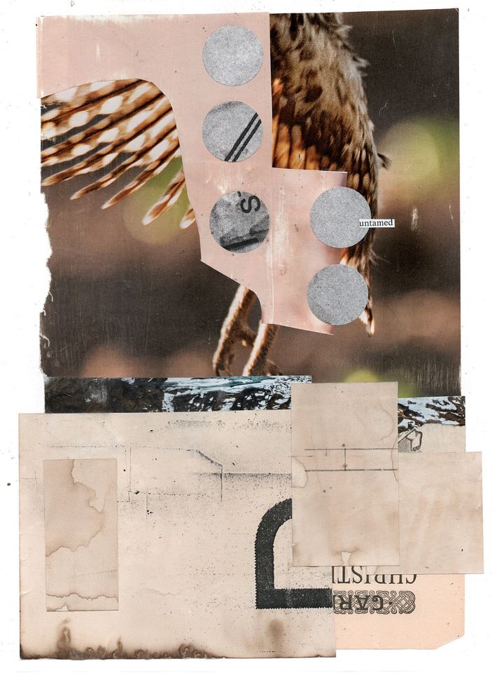 untamed product image (1)