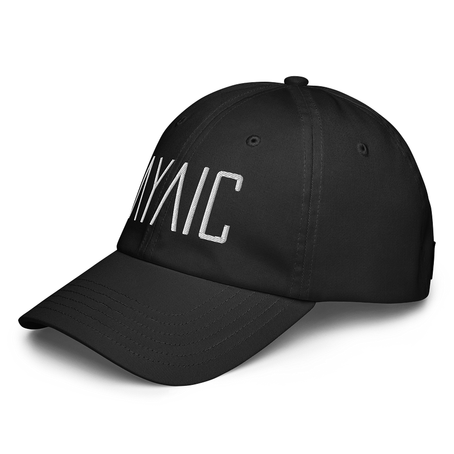AYAIC Dad Hat product image (2)