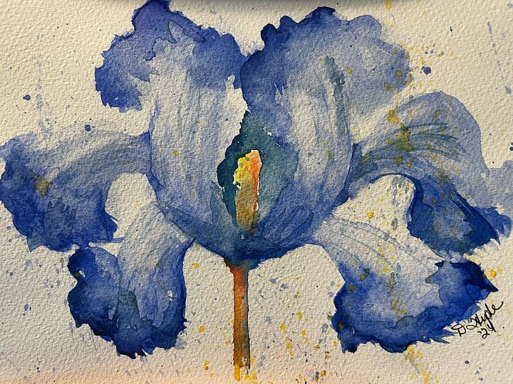 Bearded Iris (Original - 7 x 10) product image (1)