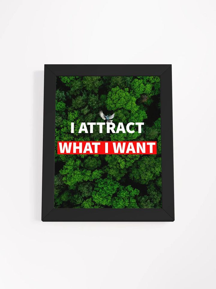 i attract what i want product image (1)