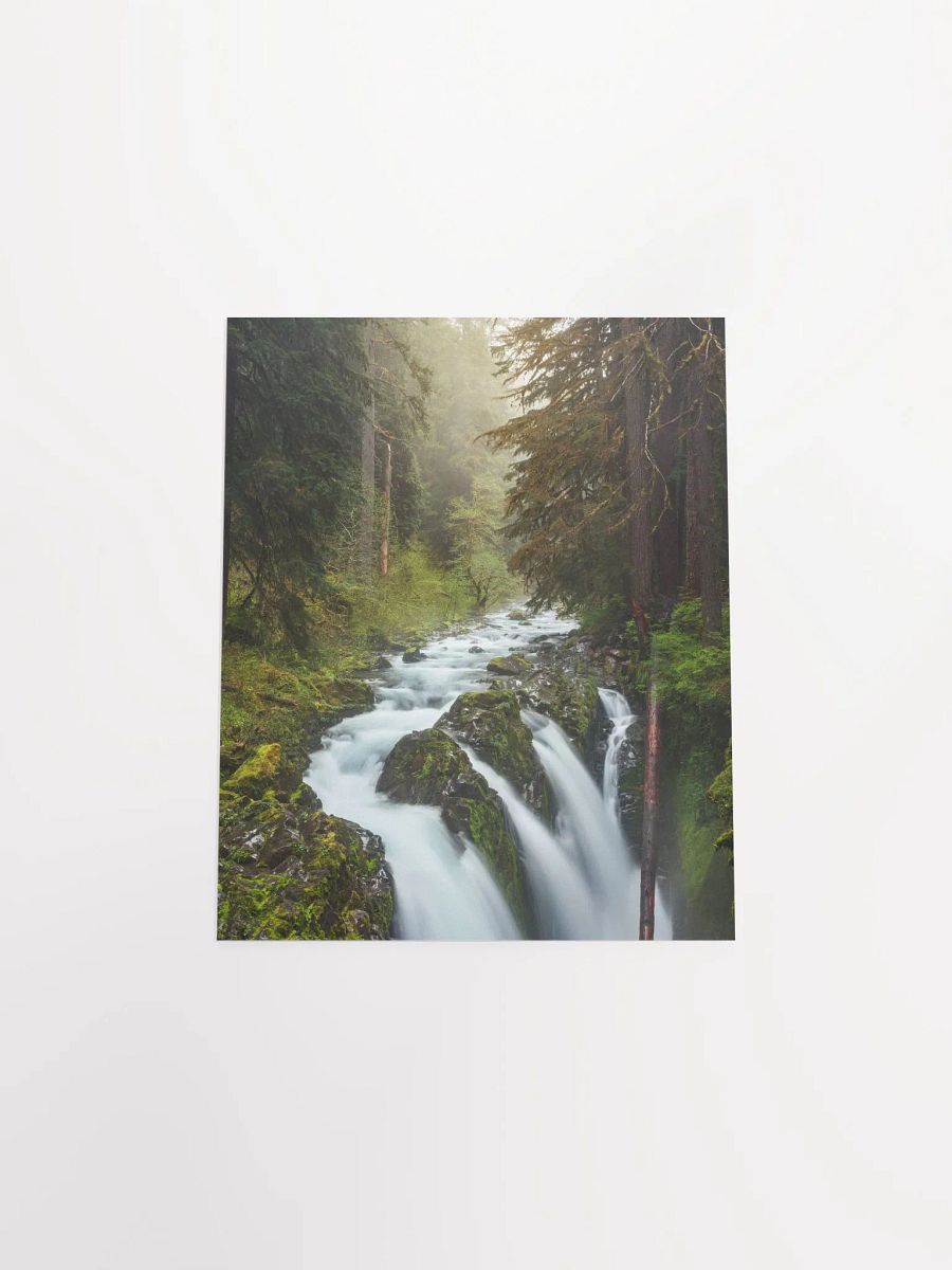 "Enchanted Forest" - 8x10 Matte Print product image (5)