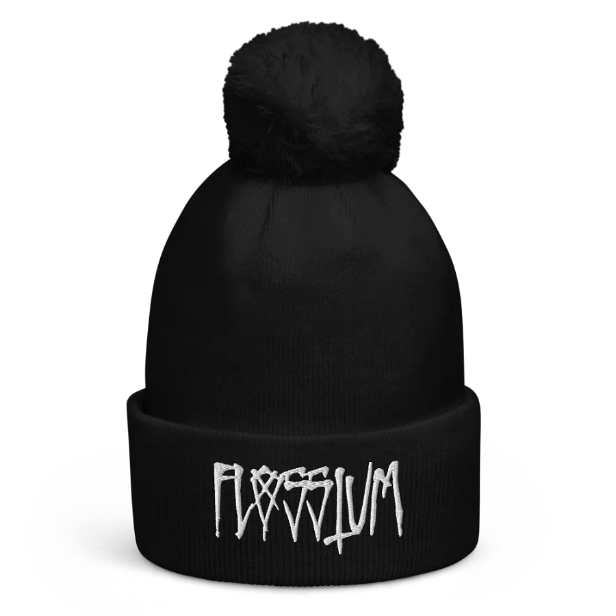 Beanie product image (2)