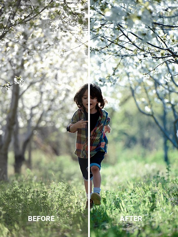 25 Color Grading LUT for Rec.709 product image (4)
